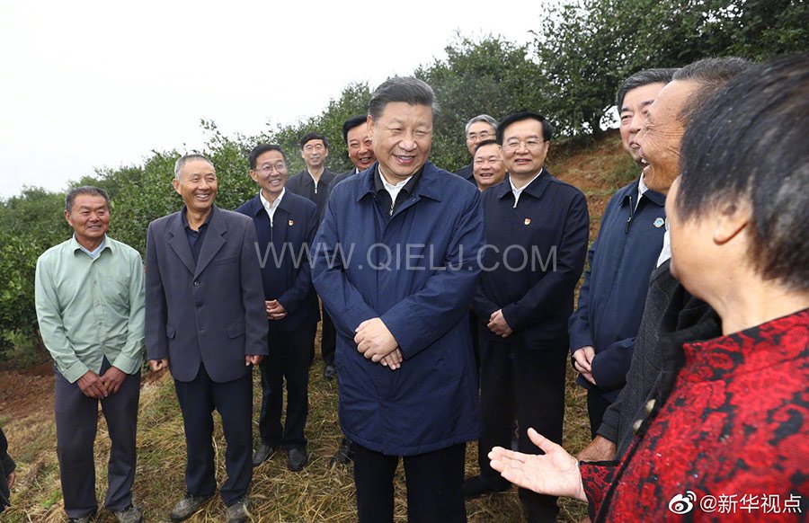 光山油茶籽榨油設(shè)備，山茶籽油榨油機廠家(圖2)