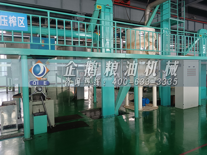 企鵝牌茶籽油雙螺桿榨油機，用心制造獲得客戶認(rèn)可(圖2)