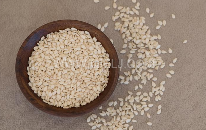 芝麻油壓榨處理設(shè)備，企鵝牌液壓榨油機(jī)勇于創(chuàng)新生產(chǎn)效率高(圖1)